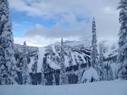 Deeply snow-covered winter landscape in the Whitewater ski area