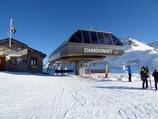 Chardonnet