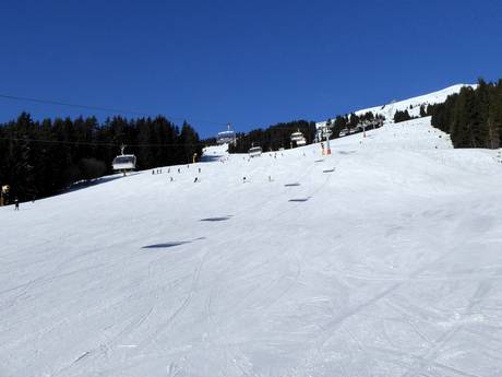 Slope offering Alpin Card – Slope offering Saalbach Hinterglemm Leogang Fieberbrunn (Skicircus)