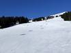 Slope offering worldwide – Slope offering Saalbach Hinterglemm Leogang Fieberbrunn (Skicircus)