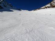 Easy slope no. 38 Tiefenbachferner