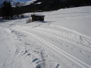 Trail to Greitalm (Alpbach)