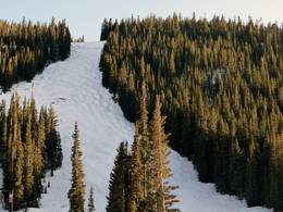 Loveland