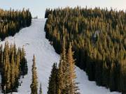Challenging mogul slope in Loveland