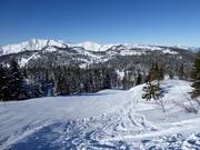 Stallen downhill run