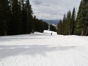 Doodle downhill run