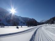 Cross-country skiing idyll in Berwang