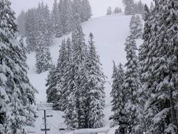 Mt. Hood Meadows