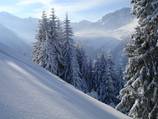 Snowshoe trail marked, Grimmialp