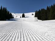 Freshly groomed slopes in Vitosha