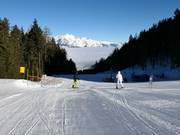 Easy slope at the drag lift at the mid-station