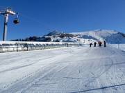 Tip for children  - Ecole Suisse de Ski & Snowboard Gryon