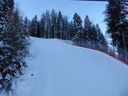 Difficult slope Nera Marilleva