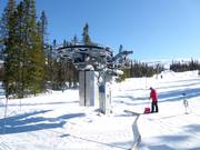 Myrsnipa - J-bar