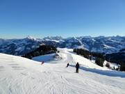 View of the Kitzbüheler Horn with Hahenkamm