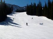 Sundance