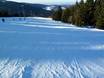 Slope preparation Straubing-Bogen – Slope preparation Markbuchen/Predigtstuhl (St. Englmar)