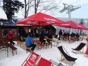 Search Bar & Grill