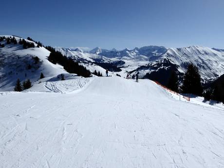 Simmental: Test reports from ski resorts – Test report Rinderberg/Saanerslochgrat/Horneggli – Zweisimmen/Saanenmöser/Schönried/St. Stephan