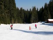Easy slope 7 in the ski area