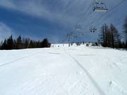 Langalm run