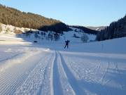 Weirerteich trail