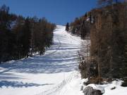 Carver slope exclusive