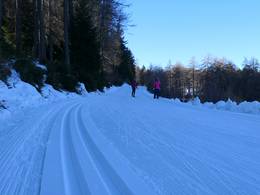 Meran 2000