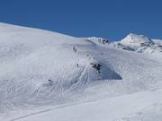 Off-piste terrain