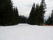 Start Südhang