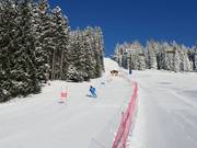 Timed run