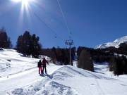 Ronalplift - T-bar