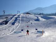 Race course at the Tannlift