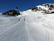 Easy slopes Hochalm-Heimalm (with some slightly steeper sections)