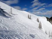 Open ski area in the upper section