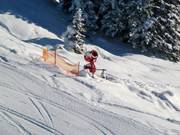 Snow cannon in the Laterns ski area