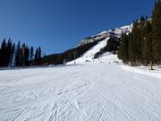 Easy slope Cascade