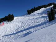 Off-piste slopes in Bormio