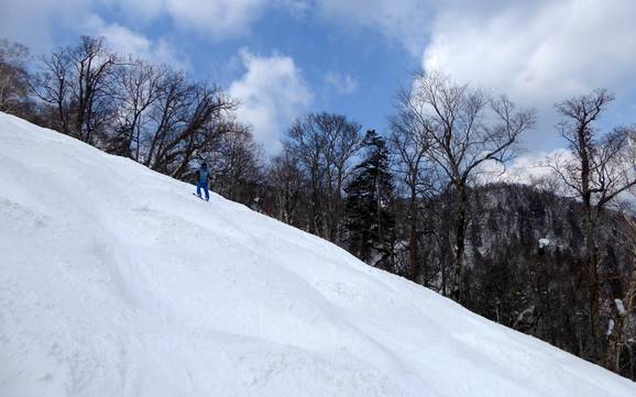 Ski resorts for advanced skiers and freeriding Prince Snow Resorts – Advanced skiers, freeriders Furano