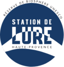 Montagne de Lure