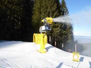 Snowmaking in the Lavarone ski area