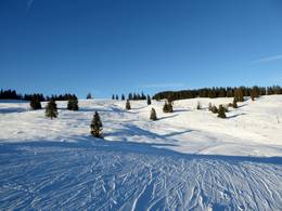 Postalm am Wolfgangsee