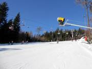 Well-groomed slopes await you in Černá hora