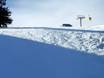 Ski resorts for advanced skiers and freeriding Black Forest (Schwarzwald) – Advanced skiers, freeriders Belchen