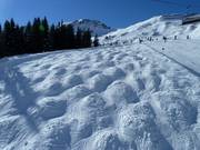Mogul slope at Elsenkopf