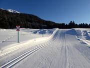 Trail in the Lenzerheide