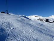 Powder slope in Brigels/Waltensburg/Andiast
