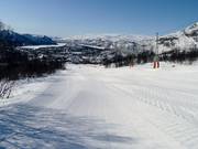 Easy slope Simlene