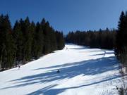 Olympic Downhill
