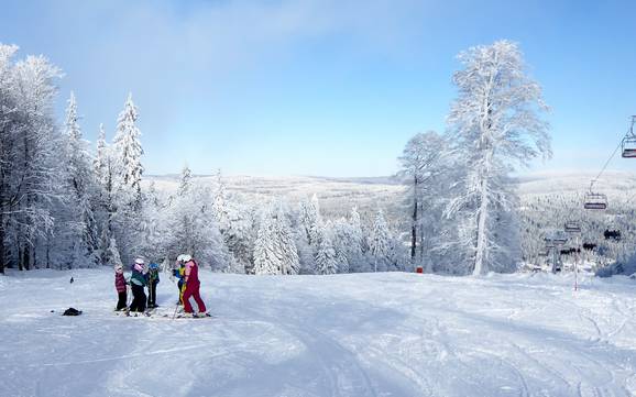 Almberg-Haidel-Dreisessel: environmental friendliness of the ski resorts – Environmental friendliness Mitterdorf – Almberg